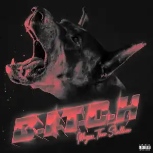 Instrumental: Megan Thee Stallion – B.I.T.C.H.