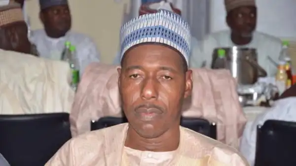 Borno Governor, Zulum, Suspends All Hospital Staff For Abandoning Patients