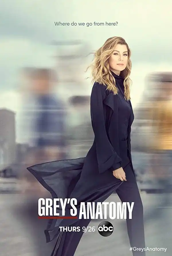 Greys Anatomy S16 E14 - A Diagnosis (TV Series)