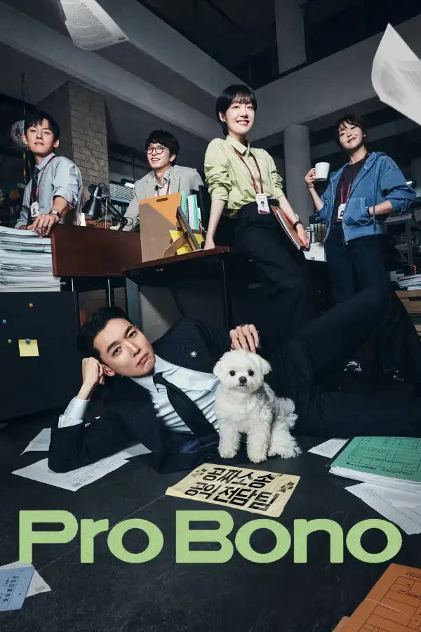 Pro Bono (2025) [Korean] (TV series)