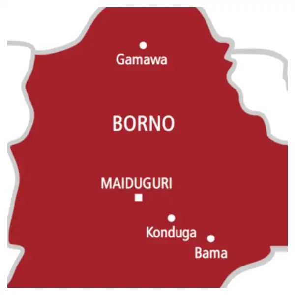 Terrorists gun down soldiers, abduct women, children in Borno