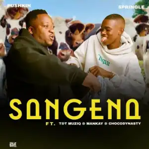 Pushkin RSA & Springle – Sangena ft Mankay & Choco Dynasty, T&T MuziQ