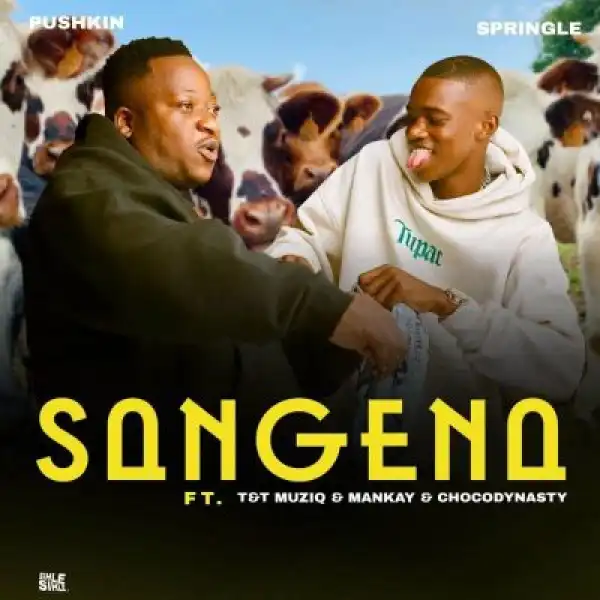 Pushkin RSA & Springle – Sangena ft Mankay & Choco Dynasty, T&T MuziQ