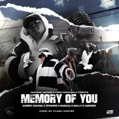 Malome Vector & Lizwi Wokuqala – Memory Of You ft Aubrey Qwana, Trymore, Maraza, SANNERE & Mally