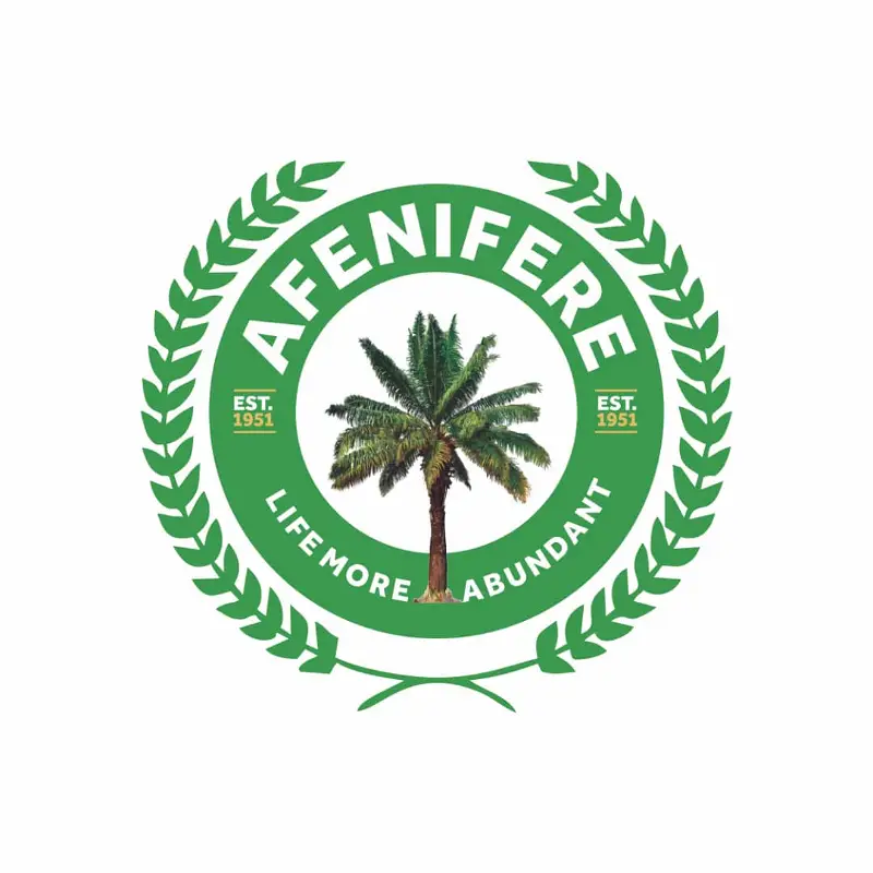 FG lied on credible 2023 polls, treason allegation — Afenifere