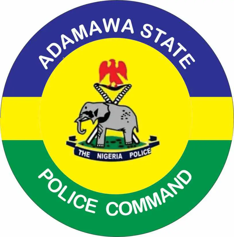 Adamawa Police Command recovers rustled cattle