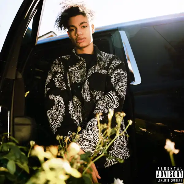 Drizzy – Tae Members
