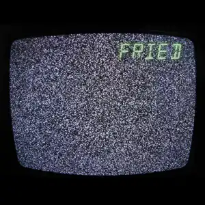 DavidTheTragic – FRIED