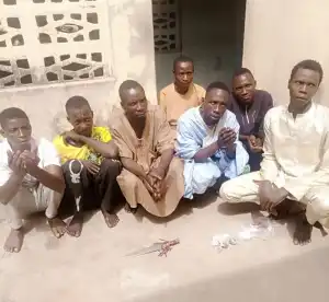 Police arrest seven suspected miscreants in Niger