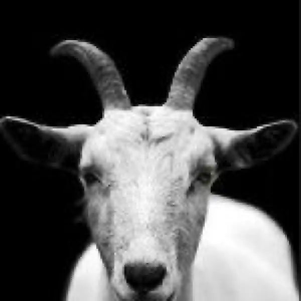 G-God – G269(Tech mix)