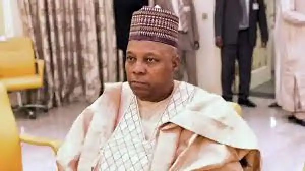 Alhaji Shettimma, Tinubu