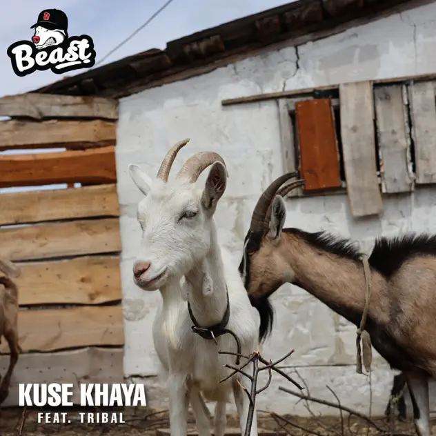 Beast Rsa – Kuse Khaya Ft Tribal