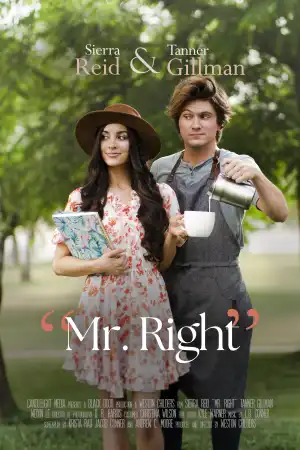 Mr Right (2023)