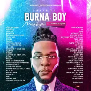Legendary DJ 042 – Best of Burna Boy Mixtape