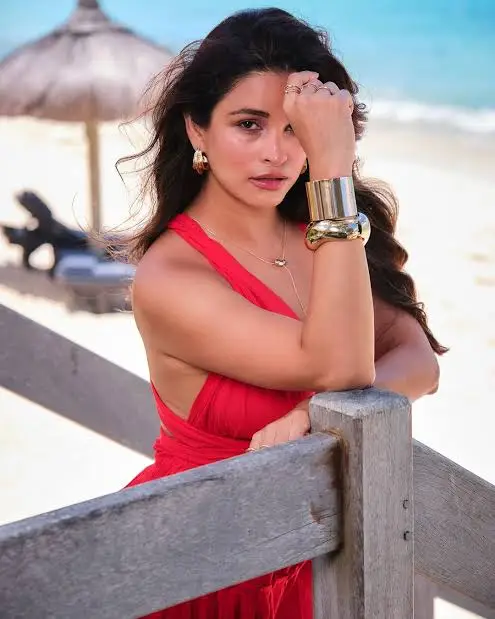 Career & Net Worth Of Chetna Pande
