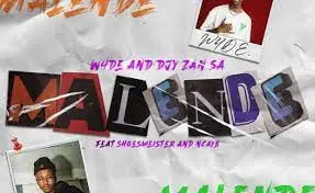 W4DE & Djy Zan SA – Malende ft. Shoesmeister & NCAYB