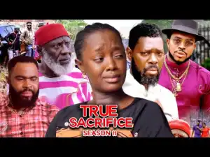 True Sacrifice Season 11