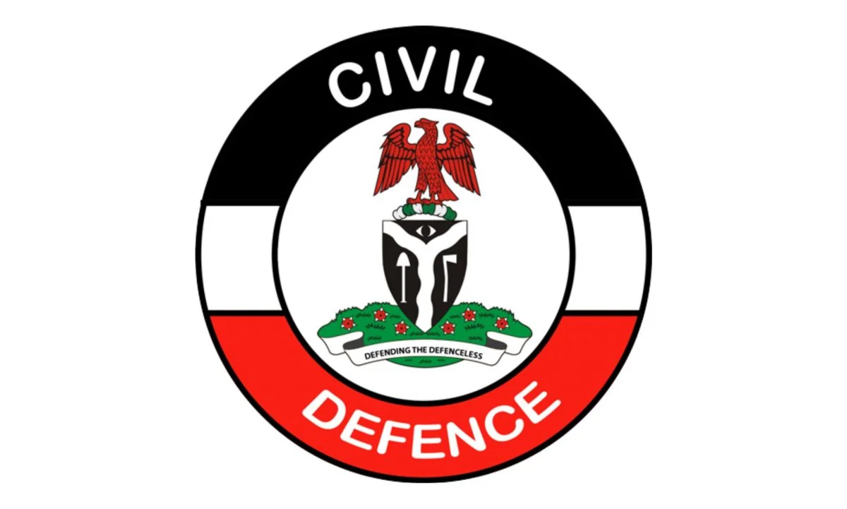NSCDC arrests 8 suspected vandals at different locations
