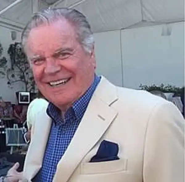 Biography & Career Of Robert Wagner