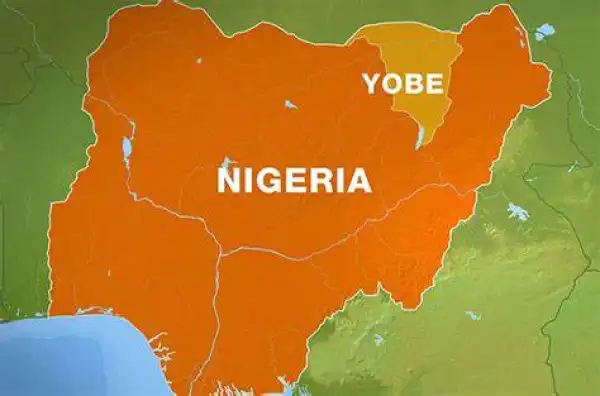 Meningitis kills 10 in Yobe state