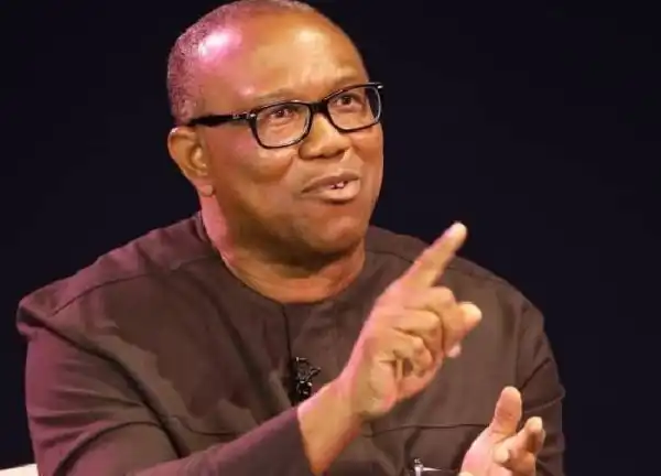 We Must Convince Nigeria To Produce Next President – Peter Obi Charges Igbos