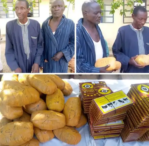 Police Arrest Two Transborder Indian Hemp Dealers In Katsina