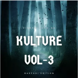 Vibekulture Sa – Miami Icardi