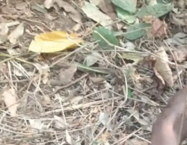Man shot dead by his brother-in-law over alleged infidelity in Delta community