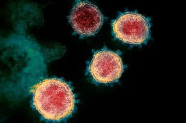 COVID-19: China pledges to share containment strategies, vaccines