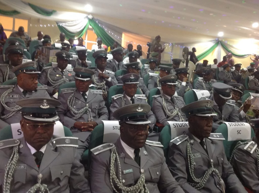 Customs seize 420kg of Pangolin scales in Kano, arrest suspect