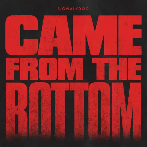BigWalkDog – Came From The Bottom (Instrumental)