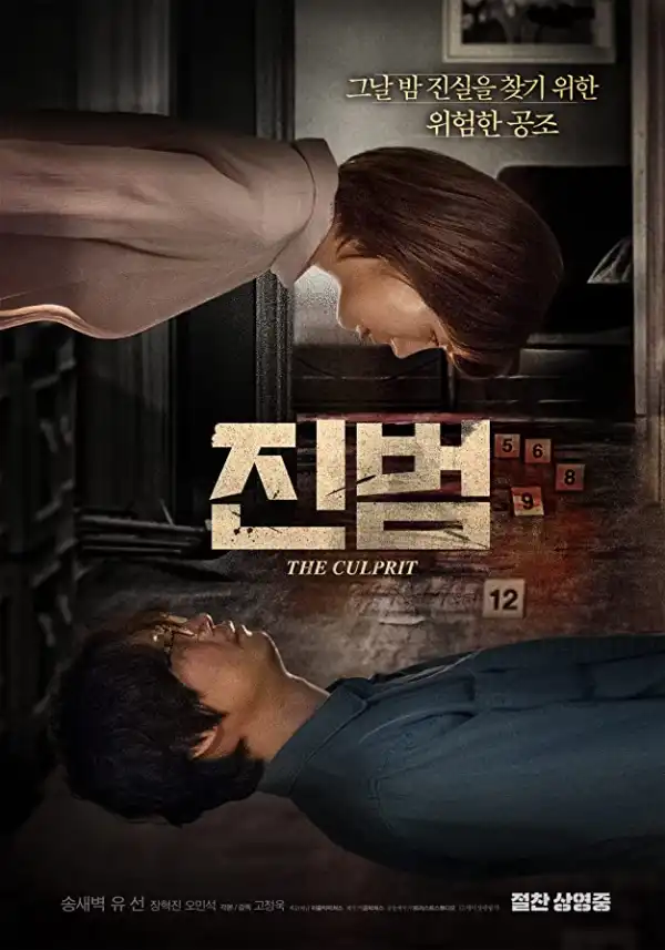 The Culprit (2019) (Korean)