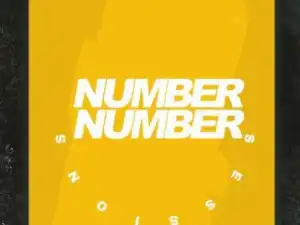 Dzo 729 – Number Number Session 2