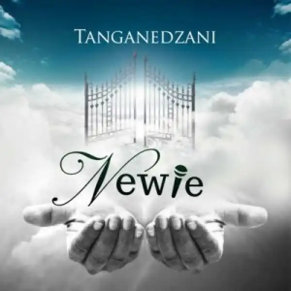 Newie – Tanganedzani (Live)