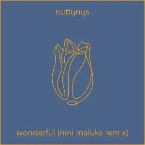 Nutty Nys – Wonderful (Nini Maluks Remix)