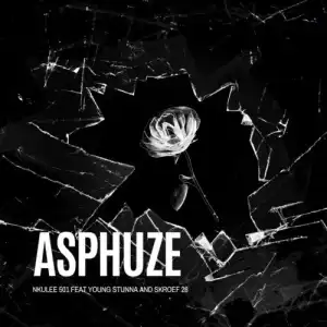 Young Stunna – Asphuze ft. Nkulee 501 & Skroef 28