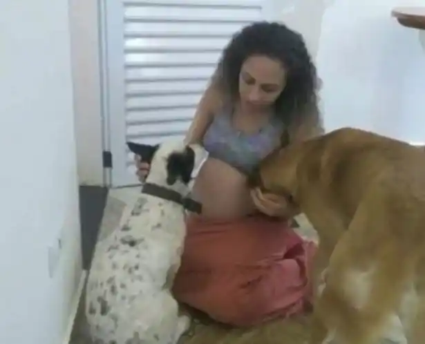Jealous family dog mauls newborn twin girls to death