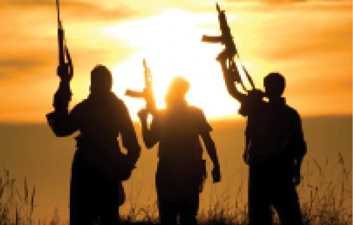 Gunmen kill 2 vigilantes in Kwara