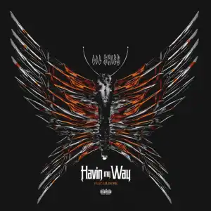 Lil Skies Ft. Lil Durk - Havin My Way