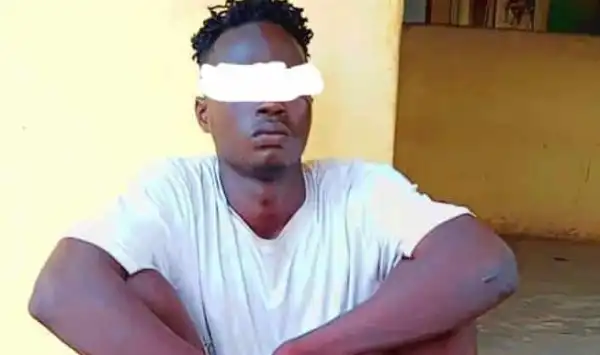 Police Arrest 21-Year-Old Suspected Burglar In Ogun