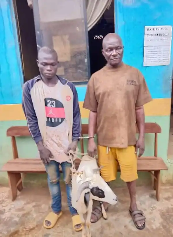 Police Arrest Two Men For Stealing Sallah Ram In Ogun (Photo)