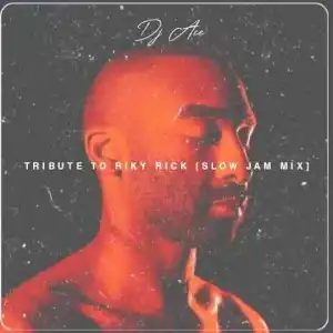 DJ Ace – Tribute to Ricky Rick (Slow Jam Mix)