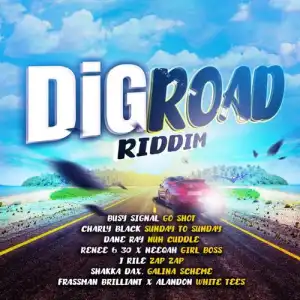 Busy Signal – Go Shot