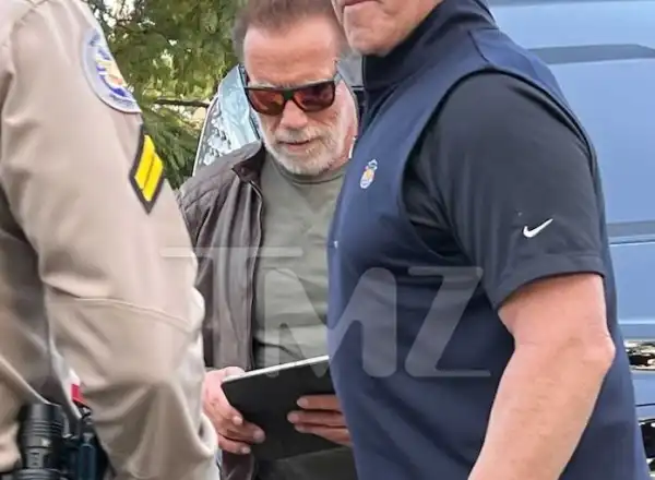 Actor Arnold Schwarzenegger Involved In Car Crash (Photos)