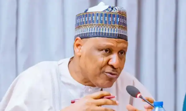 Nigerian government reveals targets of US strikes, launch sites, related details