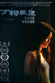 Three Wishes (2024) [Chinese]