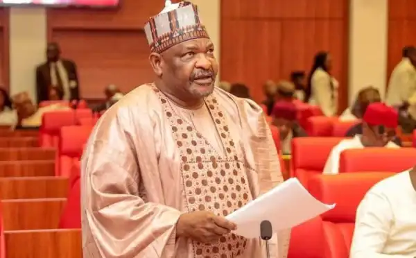 Insecurity: Senator Ningi calls for suspension of political activities
