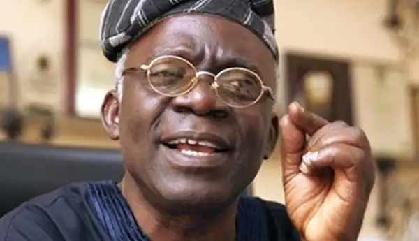 Tinubu And Governors Should Reduce Entourage To 40% – Falana