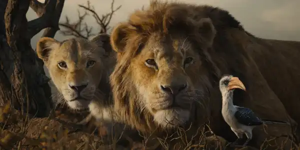 Lion King 2 Live-Action Prequel Movie Coming From Disney & Moonlight Director