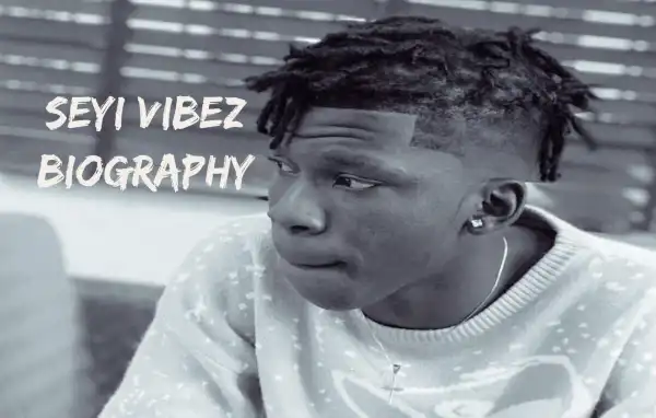 Biography & Career Of Seyi Vibez